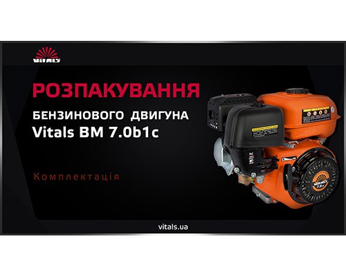 Двигатель бензиновый Vitals BM 7.0b1с