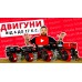 Двигатель бензиновый Vitals GE 15.0-25k