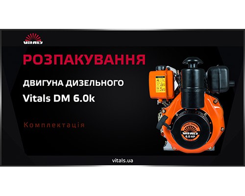 Двигатель дизельный Vitals DM 6.0k