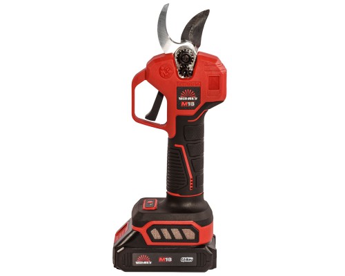 Секатор аккумуляторный Vitals Master AG 1825ck BL Kit