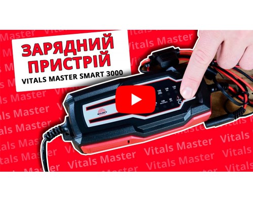 Зарядное устройство Vitals Master Smart 3000