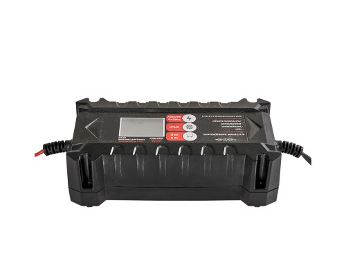 Зарядное устройство Vitals Professional DS 6.0