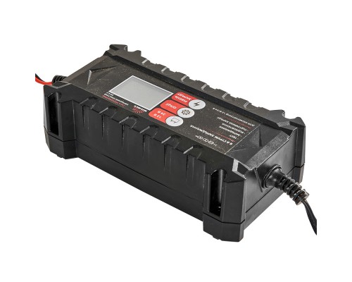 Зарядное устройство Vitals Professional DS 6.0